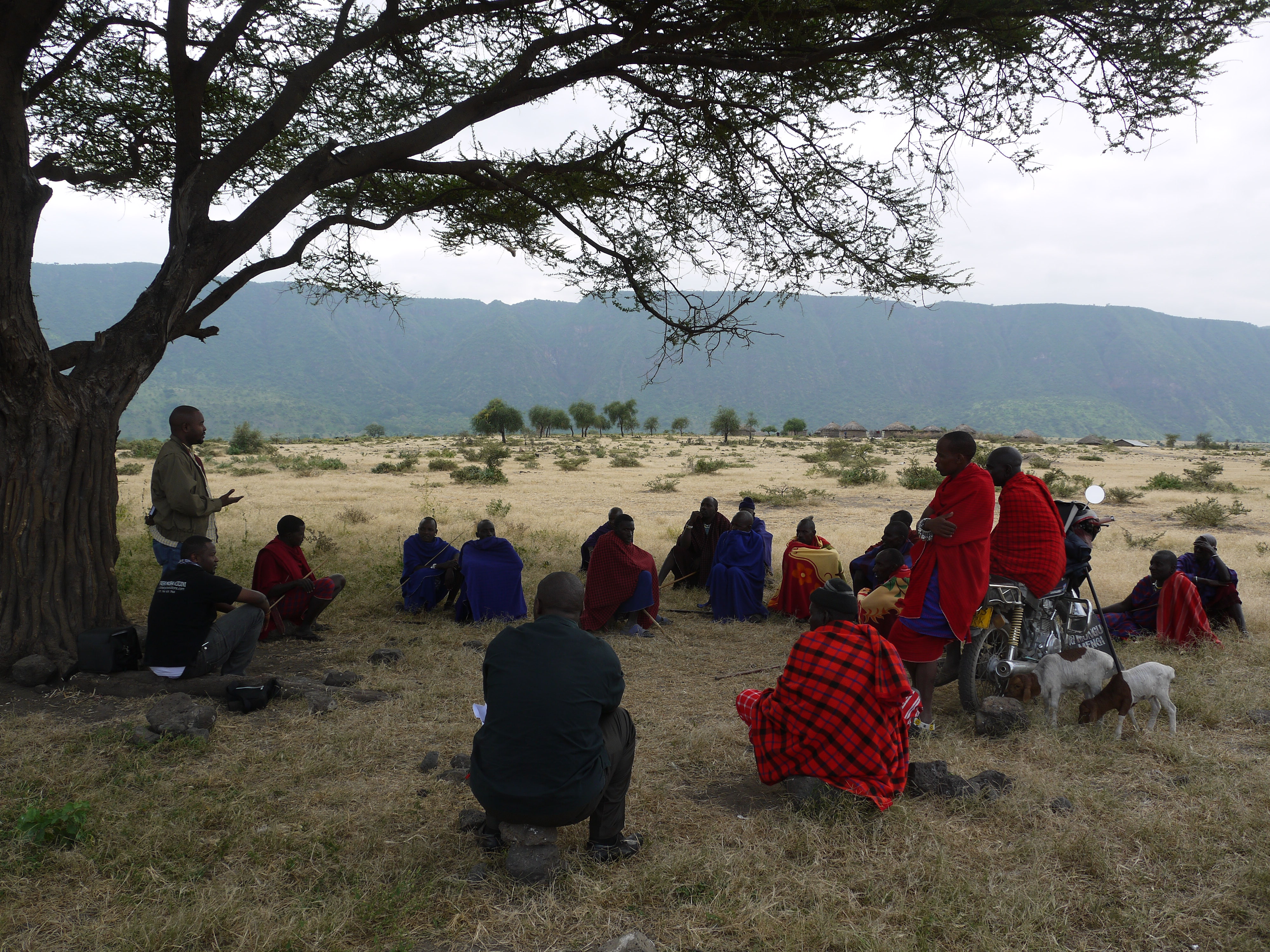 Recruiting "Rafiki" in northern Tanzania